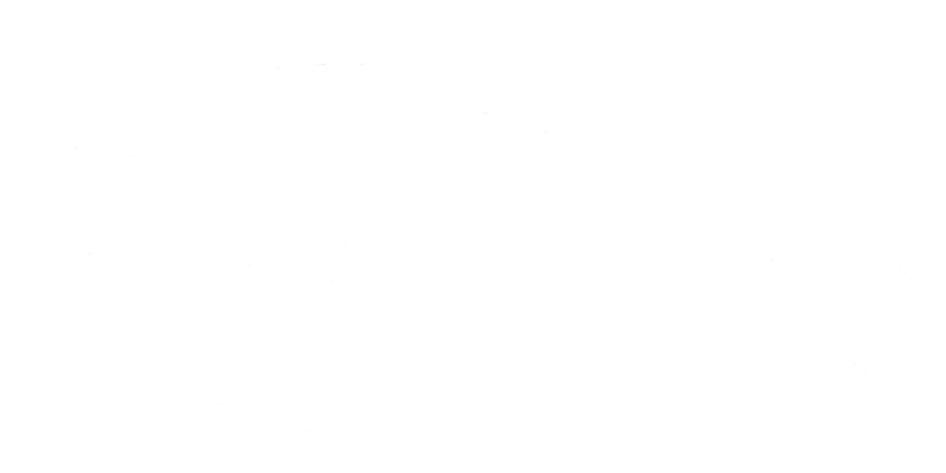 Aslan Bestratingen Logo
